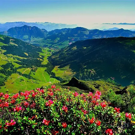 Seppen Frühstückspension Reith im Alpbachtal